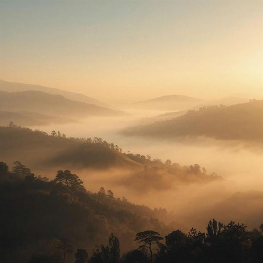 Dariya - 'Whispering Valleys' [Ringtone]