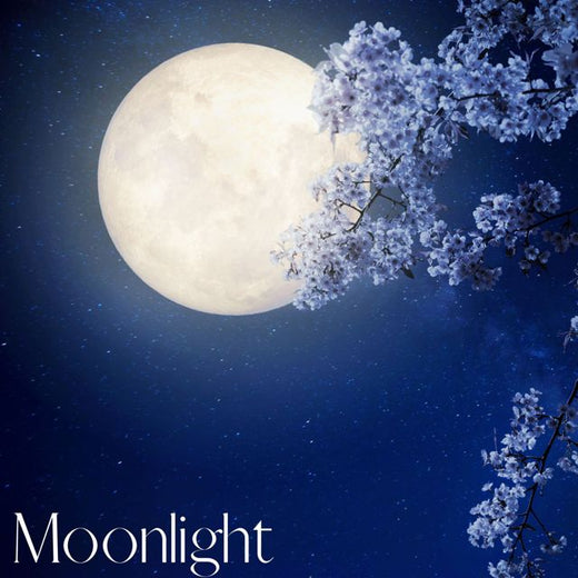 Miles Bennett Agil - 'Moonlight (From ''Love Revolution'')' [Ringtone]