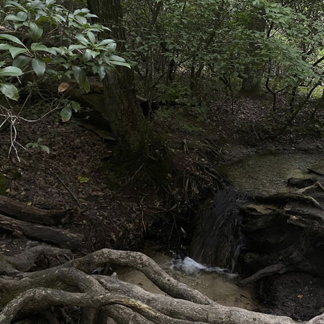 Txkumoon - 'very rare' [Ringtone]