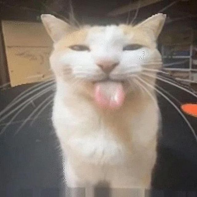 Pinkblxxd - 'I Miss You So Much :(' [Ringtone]