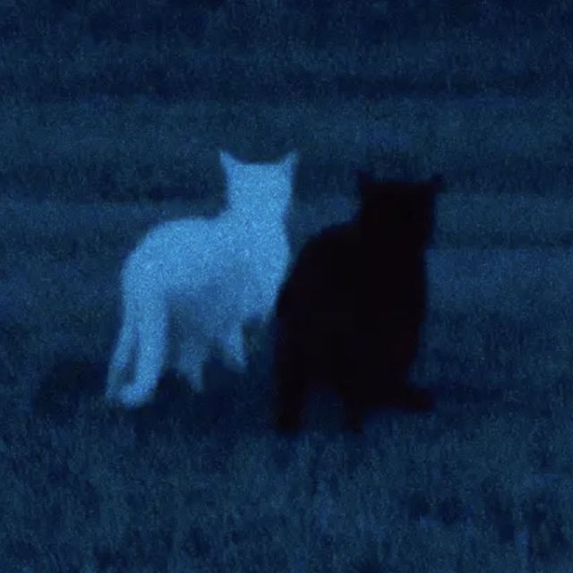 Txkumoon - 'Back In Your Life' [Ringtone]