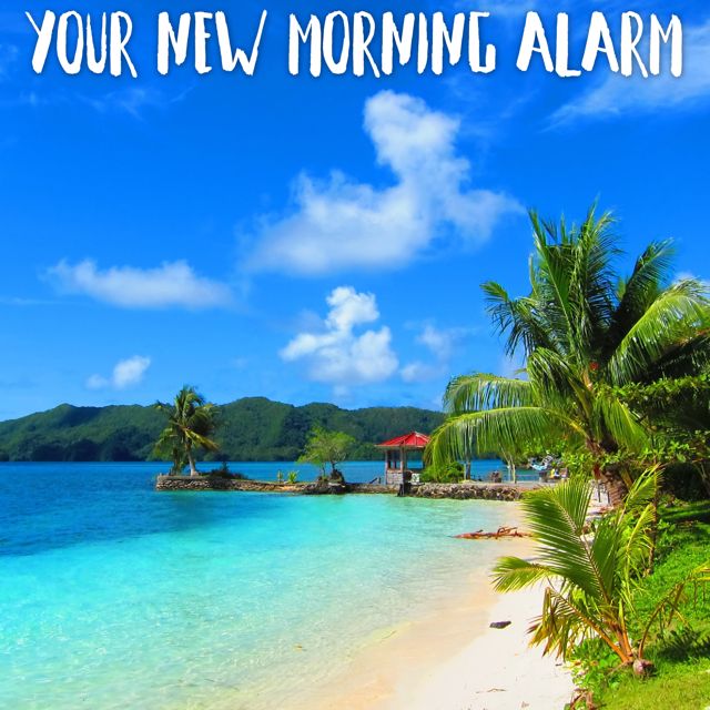 Tropical Jawns - 'Your New Morning Alarm (Marimba with Instrumental)' [Ringtone]