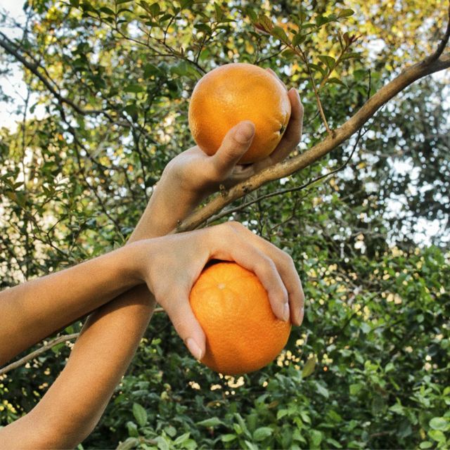 Aaron James - 'Navel Tree' [Ringtone]