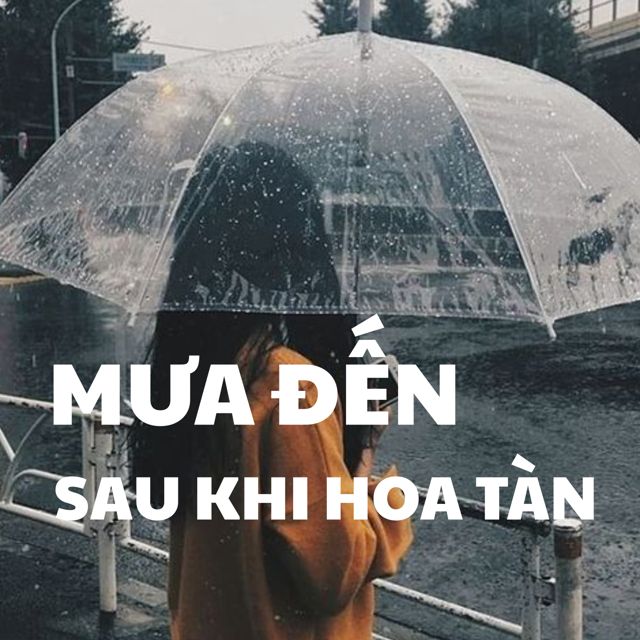 Yully - 'Mưa đến sau khi hoa tàn (Lofi)' [Ringtone]