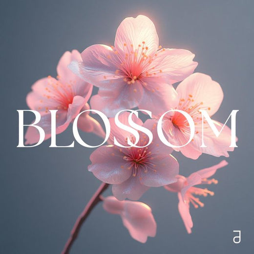 Justin Mira - 'BLOSSOM' [Ringtone]
