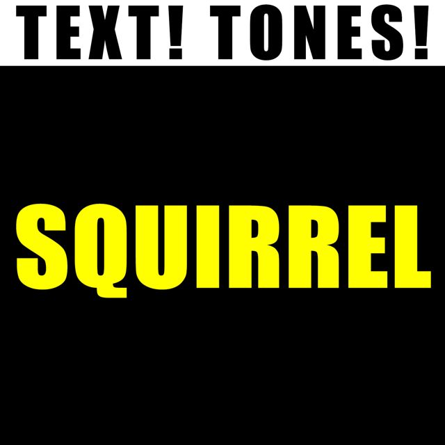 Text! Tones! - 'Squirrel (Text Tone)' [Ringtone]