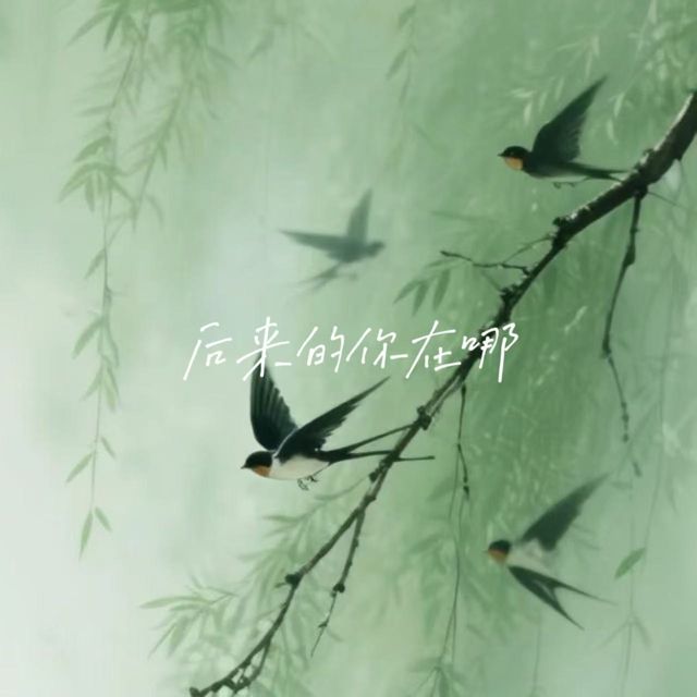 落日微笑 - '后来的你在哪' [Ringtone]