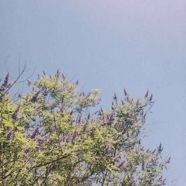wokeupgrateful - 'Friend Of Freq' [Ringtone]