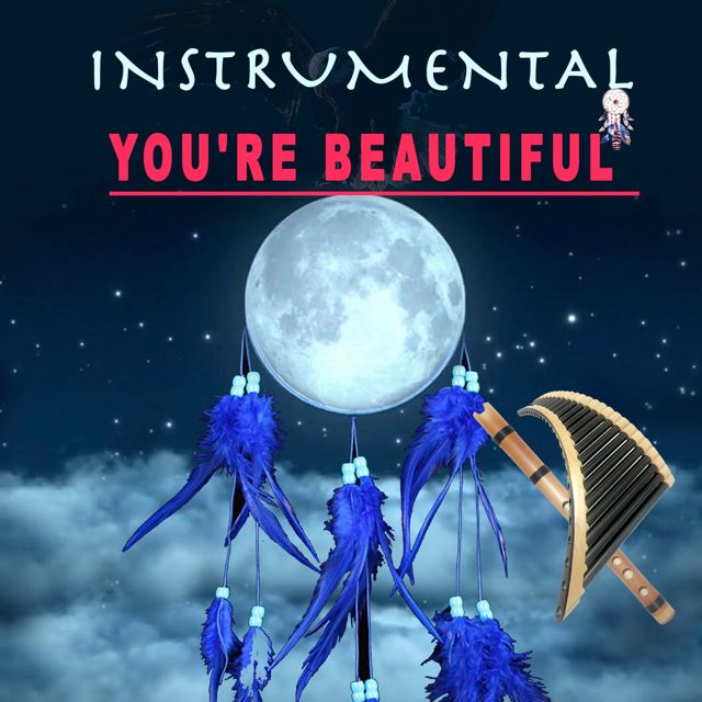 Music festival Andina - 'You're beautiful' [Ringtone]