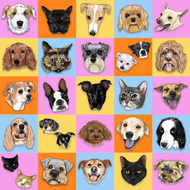 Ryal - 'Best Friend' [Ringtone]