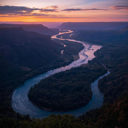 Dariya - 'Wandering River' [Ringtone]