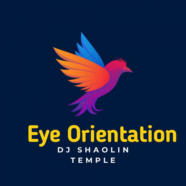 Dj Shaolin Temple - 'Eye Orientation (Refix) (feat. Fela 2)' [Ringtone]