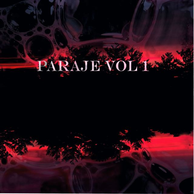 RICARDO ACHE EME - 'PARAJE, Vol. 1' [Ringtone]