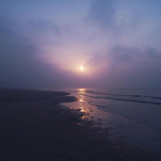 Dariya - 'Distant Shore' [Ringtone]