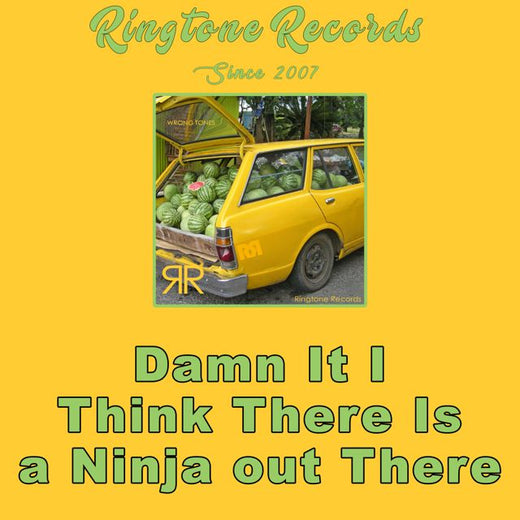 RR Collective - 'Damn It I Think There Is a Ninja Out There' [Ringtone]