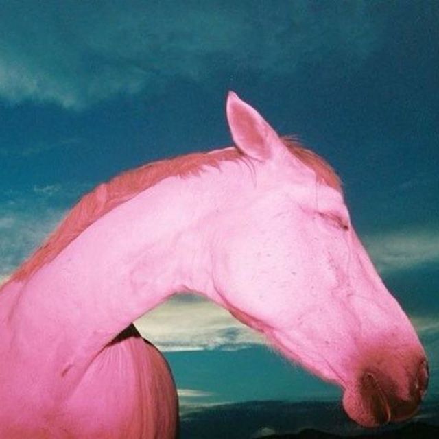 Moncrieff - 'Wild Horses' [Ringtone]