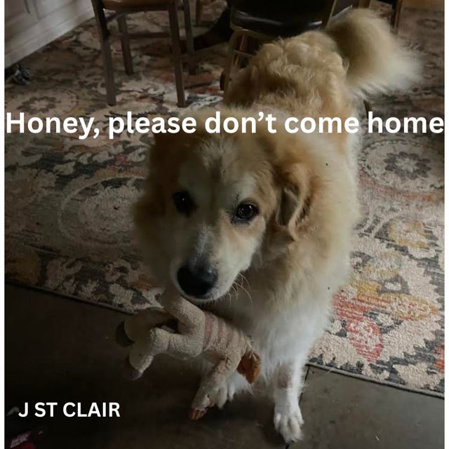 J ST CLAIR - 'Honey, please don't come home' [Ringtone]