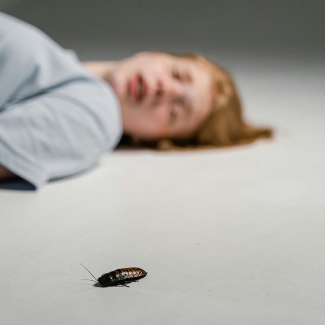 Macrogenre - 'Cockroach Cadence' [Ringtone]