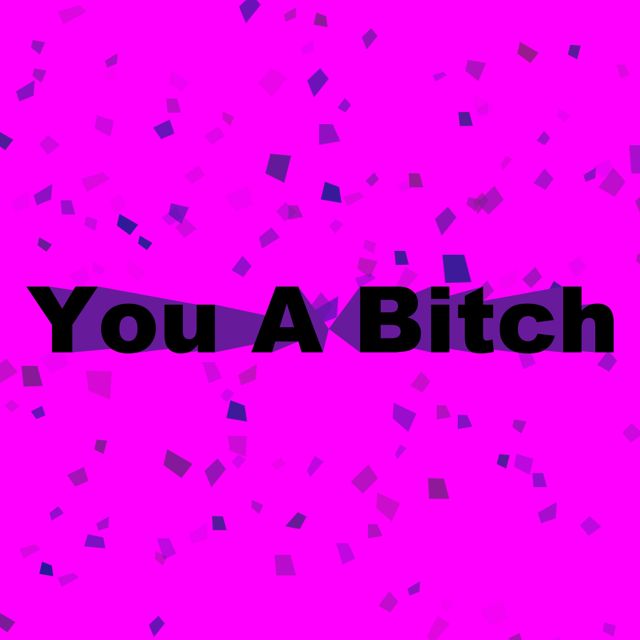 SL8 GRAY - 'You A Bitch' [Ringtone]