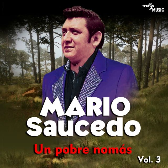 Mario Saucedo - 'Quise' [Ringtone]