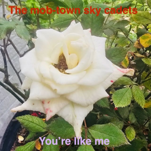 The Mob-Town Sky Cadets - 'Your Like Me' [Ringtone]