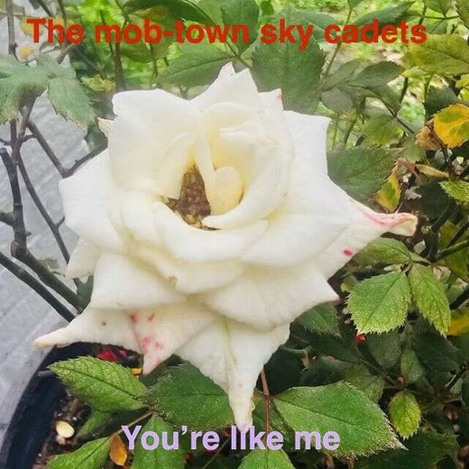 The Mob-Town Sky Cadets - 'Your Like Me' [Ringtone]