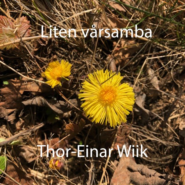 Thor-Einar Wiik - 'Liten vårsamba' [Ringtone]