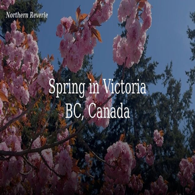 Northern Reverie - 'Spring in Victoria BC, Canada' [Ringtone]