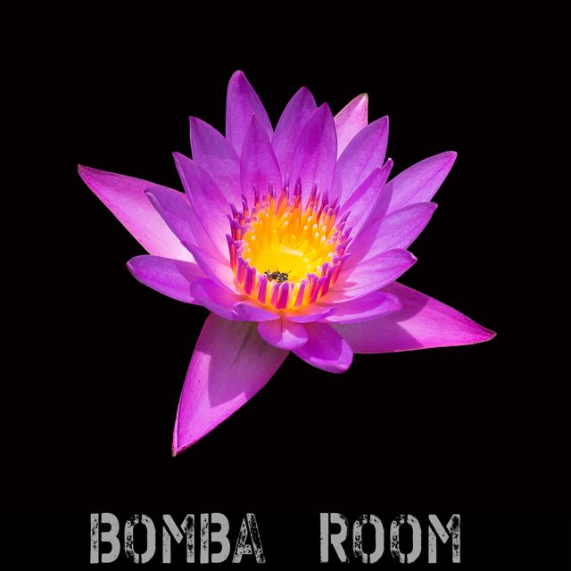 Dzik - 'Indie Electric Love' [Ringtone]