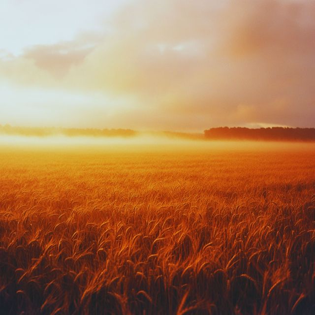 Whilido Dolton - 'The Memories' [Ringtone]