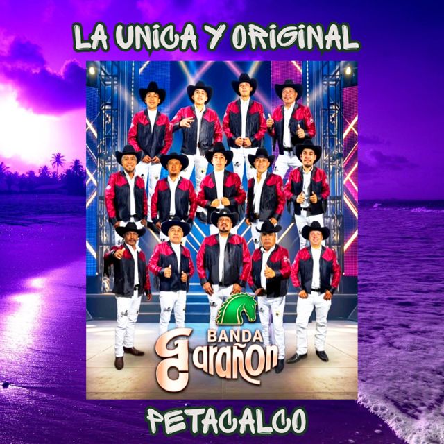 Banda Garañon - 'Petacalco' [Ringtone]