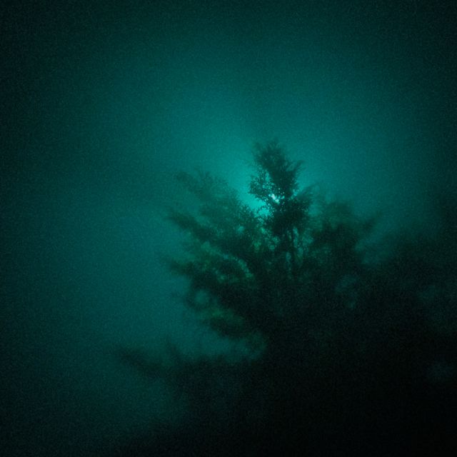 father_inheart - 'green fern' [Ringtone]