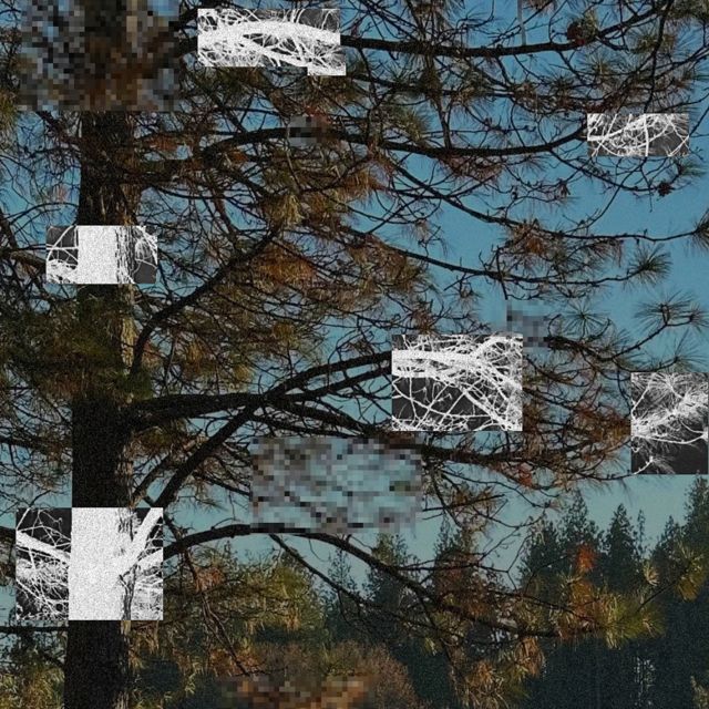 Dazed?! - 'december' [Ringtone]