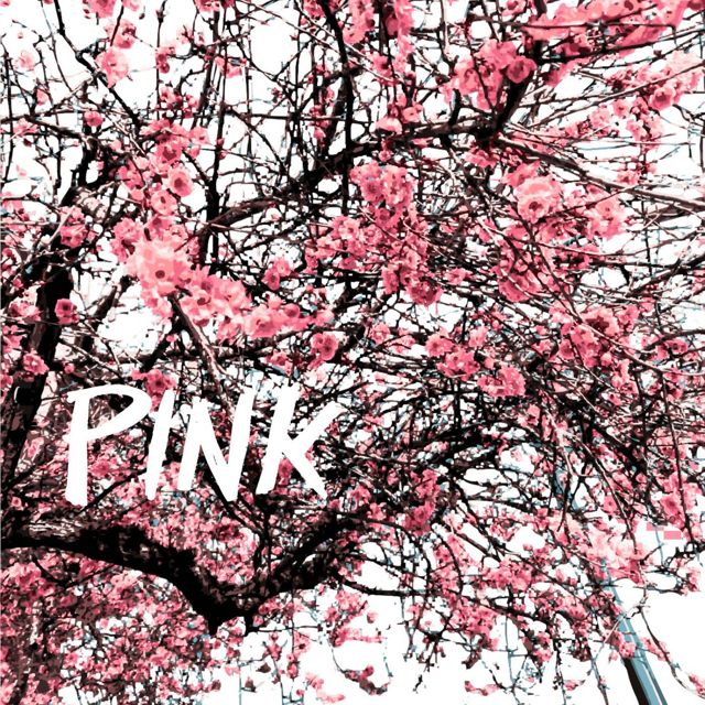 Doom Loops - 'Pink' [Ringtone]