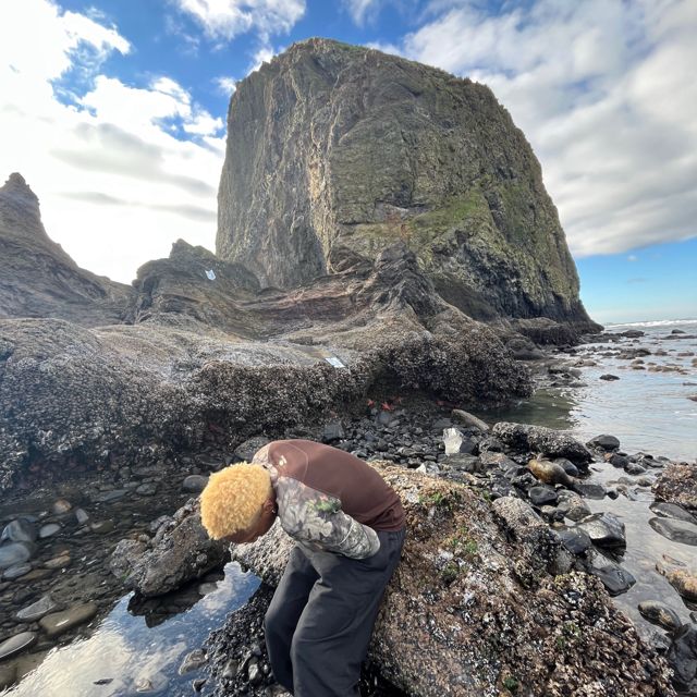 Billie Calvinn - 'so bad' [Ringtone]