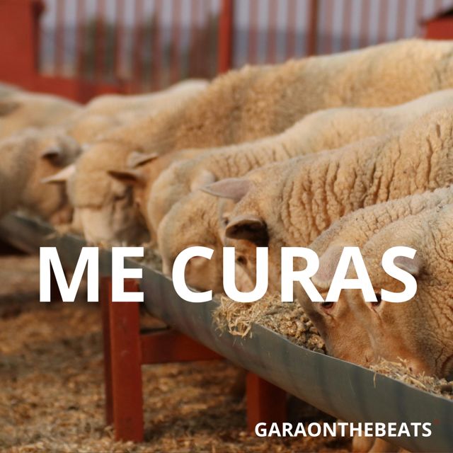 Garaonthebeats - 'Me curas' [Ringtone]