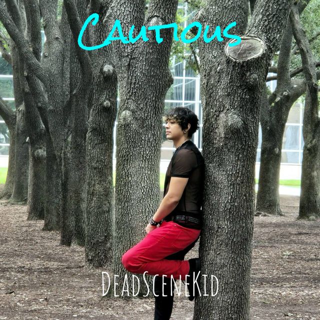 DeadSceneKid - 'Cautious' [Ringtone]