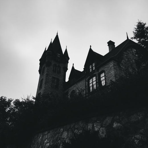 Friedrich von Hagen - 'she never called me' [Ringtone]