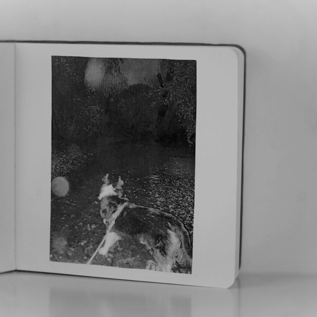 All Falls Together - 'Neurasthenia' [Ringtone]