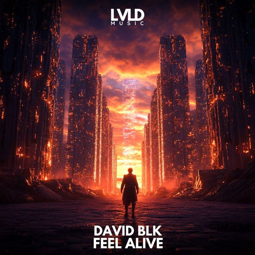 DAVID BLK - 'Feel Alive' [Ringtone]