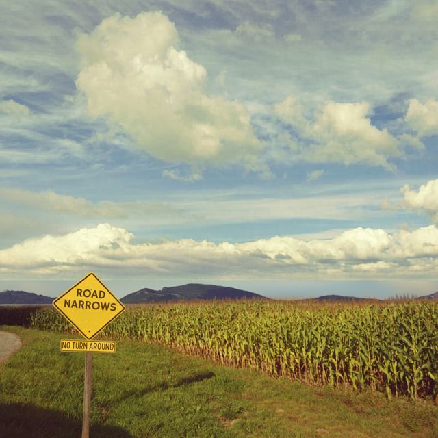 Chilldabeast - 'Where The Road Narrows (feat. Will Glazier)' [Ringtone]