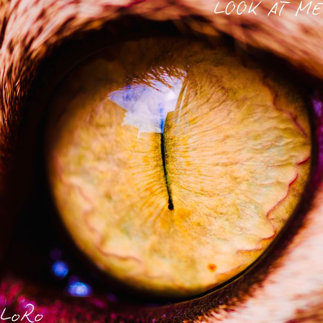 LoRo - 'LOOK AT ME' [Ringtone]