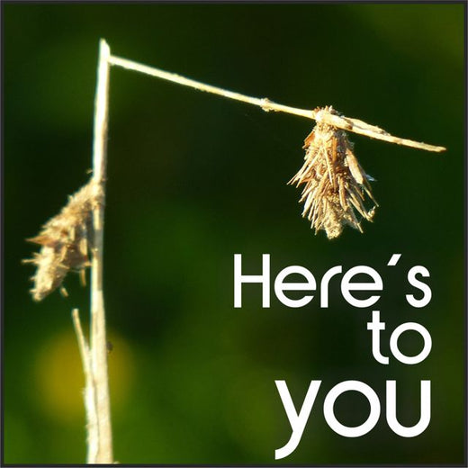 Fos4is - 'Here's to you' [Ringtone]