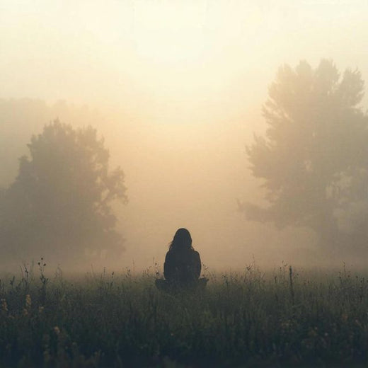 Zen Drift - 'Drifted Heart' [Ringtone]
