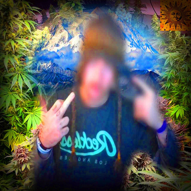 smokedope2016 - 'In Da Party' [Ringtone]