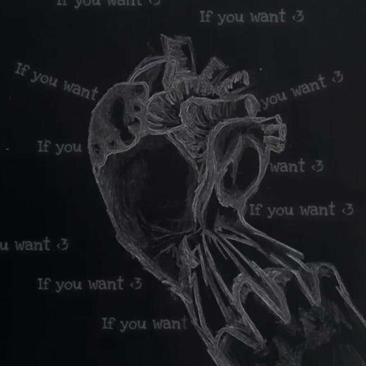 Slvmbrs - 'if you want love' [Ringtone]