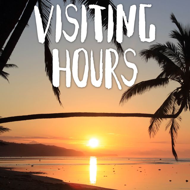 Tropical Jawns - 'Visiting Hours (Marimba Version)' [Ringtone]