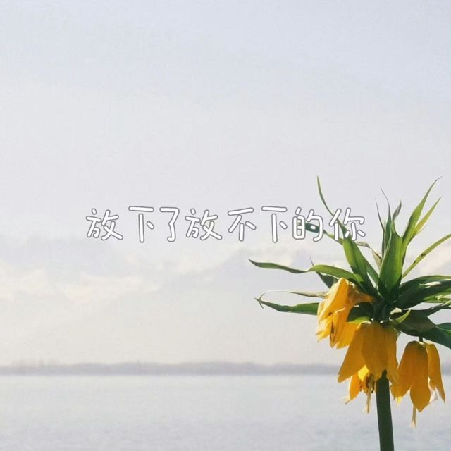 林诗曼 - '放下了放不下的你' [Ringtone]