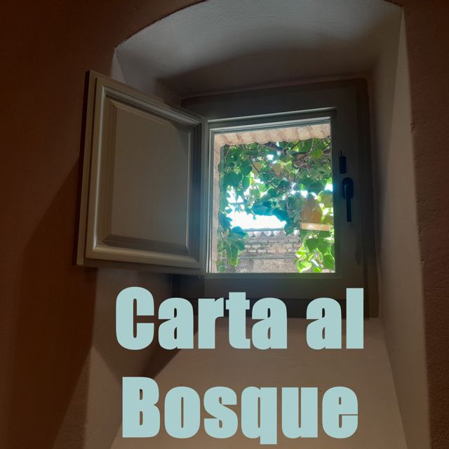 Miguel Peris - 'Carta al Bosque' [Ringtone]