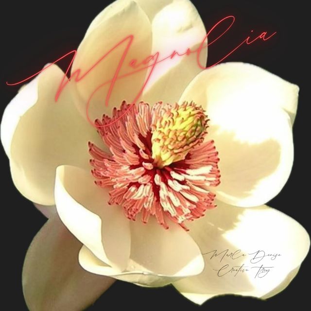 Marla Denise - 'Magnolia (feat. Creative Trey)' [Ringtone]